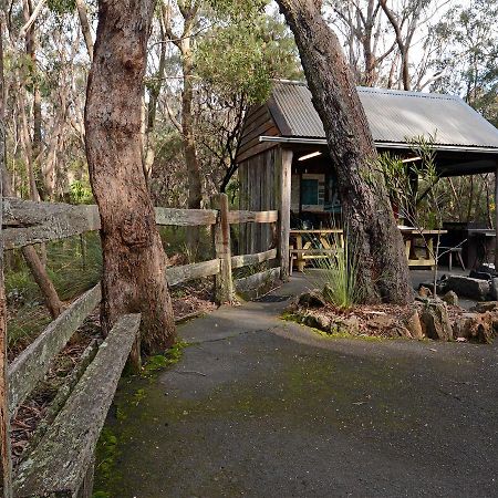 Jemby Rinjah Ecolodge Blackheath Εξωτερικό φωτογραφία